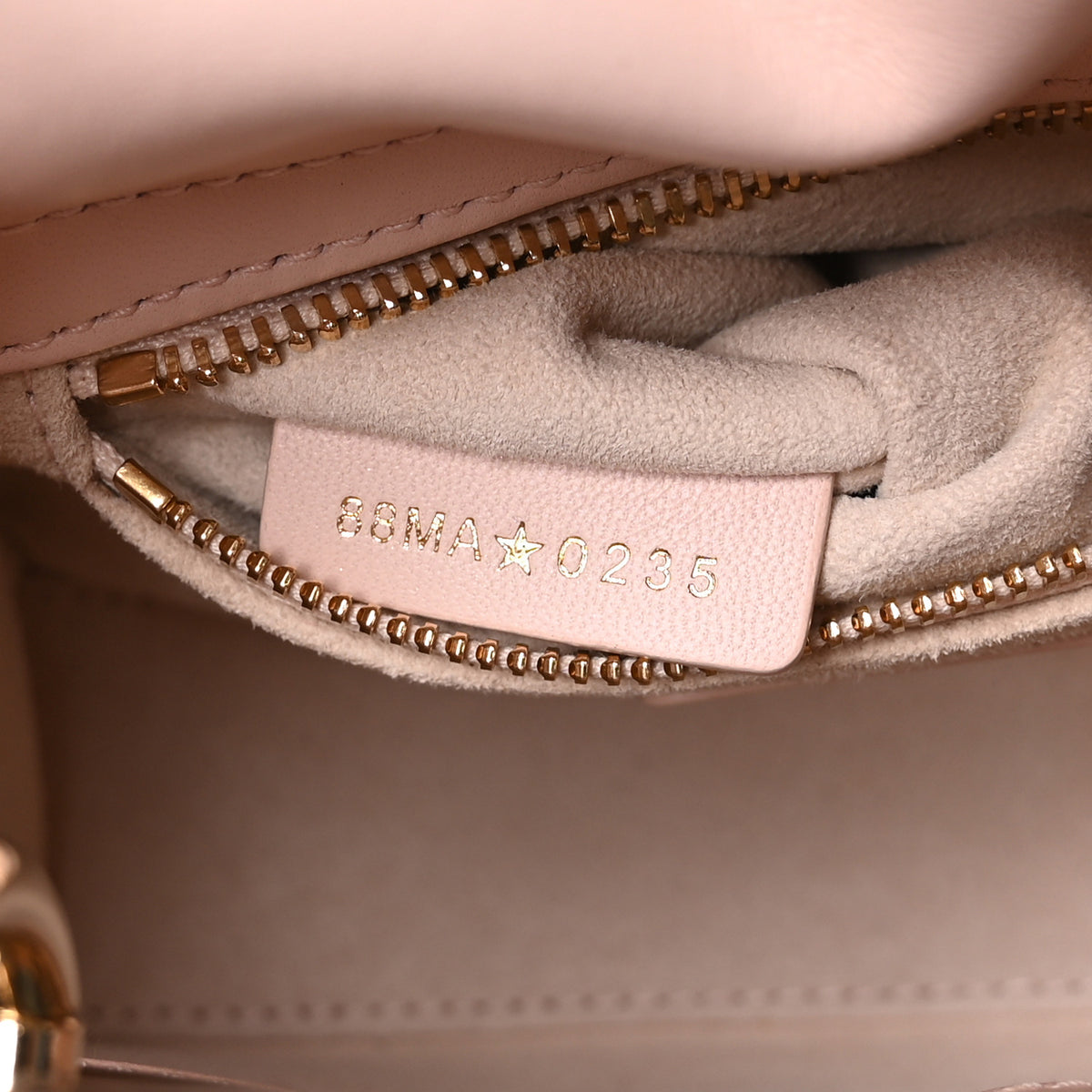 Lambskin Cannage Crystal Mini Lady Dior Powder Pink
