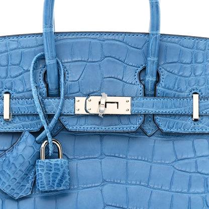 Hermes Matte Alligator Birkin 25 Mykonos 8 of 12