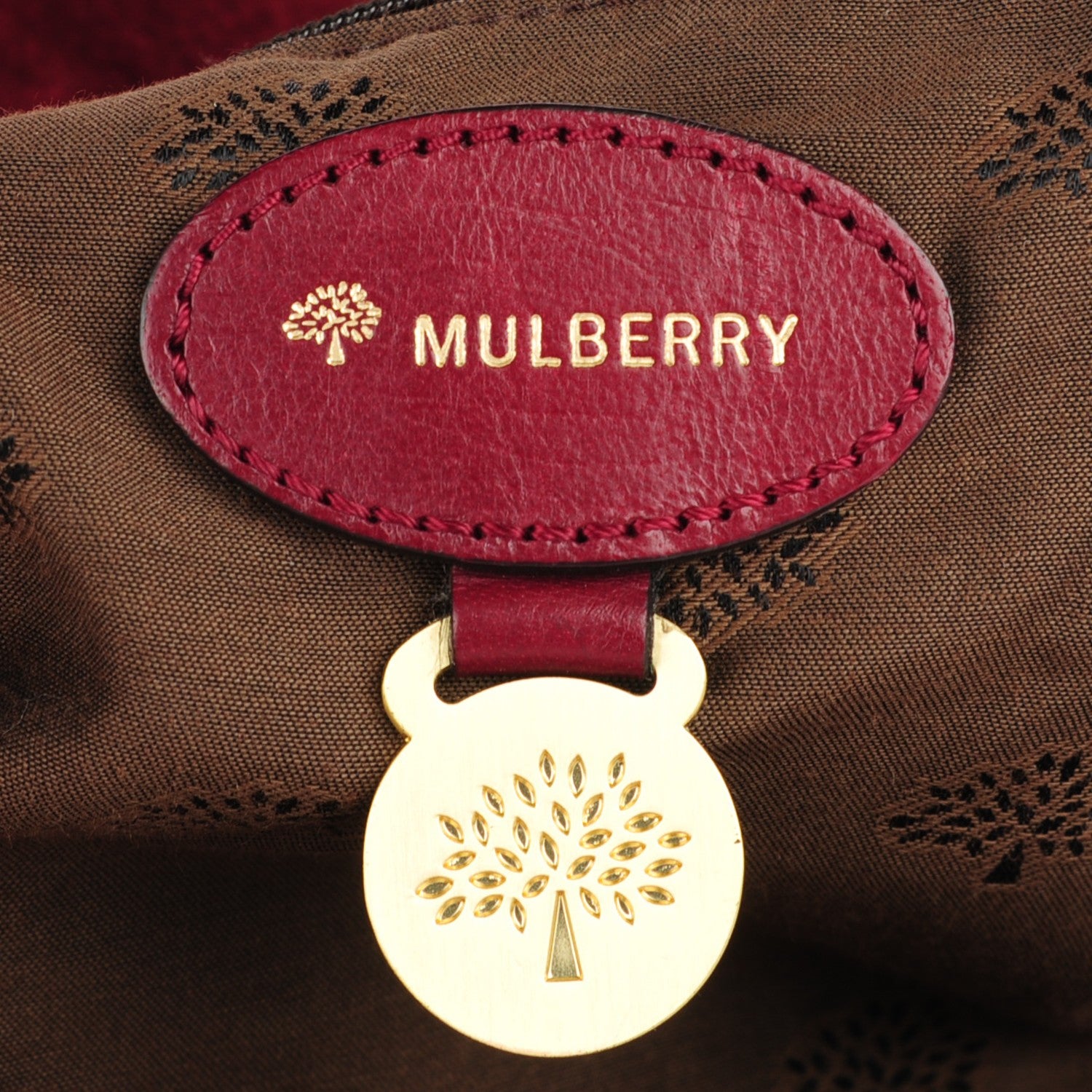 Mulberry Soft Buffalo Oversized Alexa Conker 6 of 7