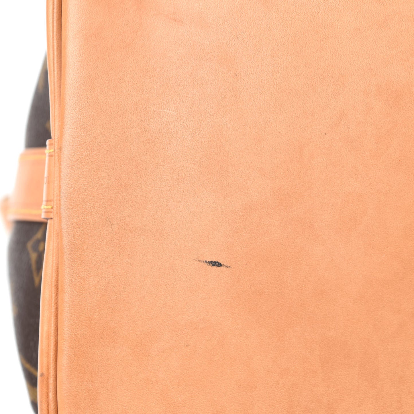 Monogram Petit Noe NM