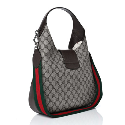 Gucci GG Supreme Monogram Web Medium Dionysus Hobo Brown 3 of 10