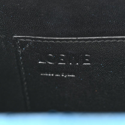 Loewe Snakeskin Small Postal Bag Sky Blue 6 of 9