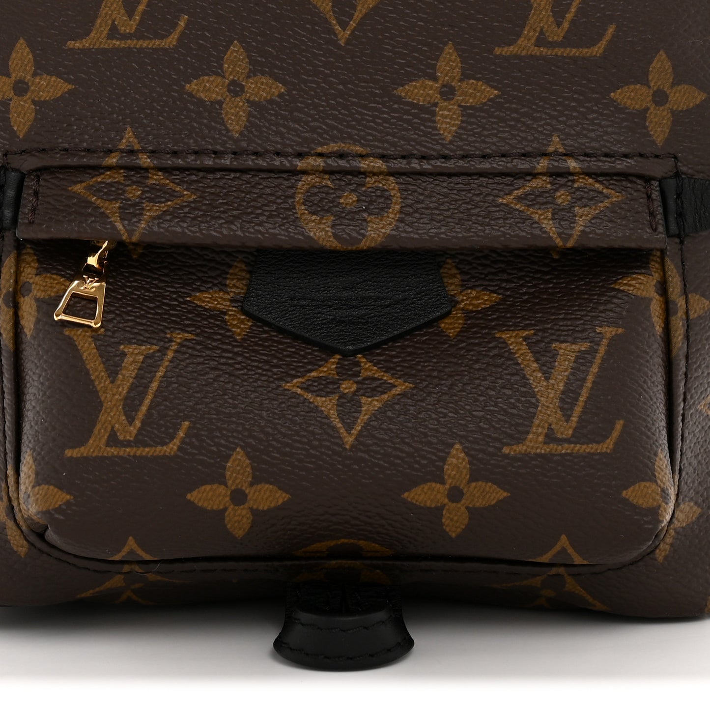 Monogram Palm Springs Backpack Mini