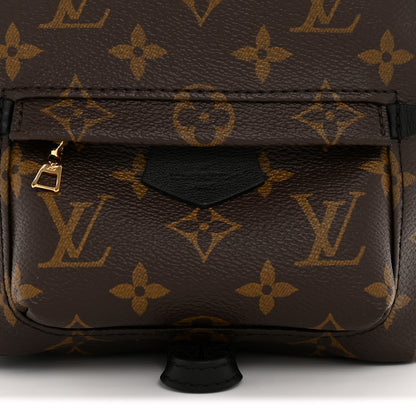 Louis Vuitton Monogram Palm Springs Backpack Mini 13 of 25