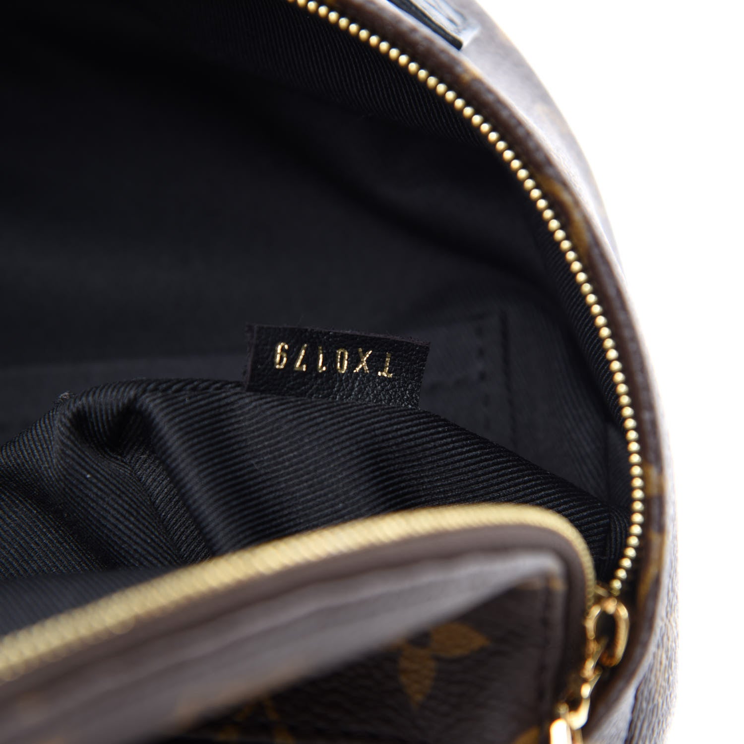 Louis Vuitton Monogram Palm Springs Backpack Mini 8 of 10