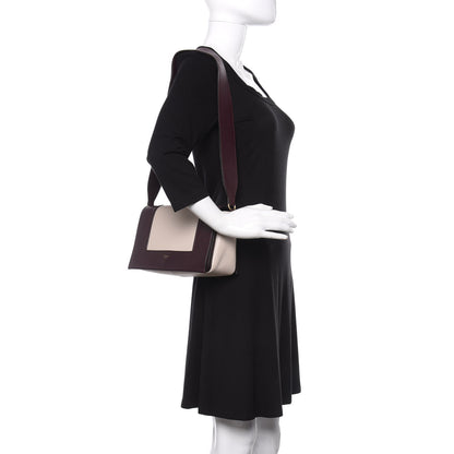 Celine Shiny Smooth Calfskin Medium Frame Shoulder Bag Velvet Desert 2 of 9