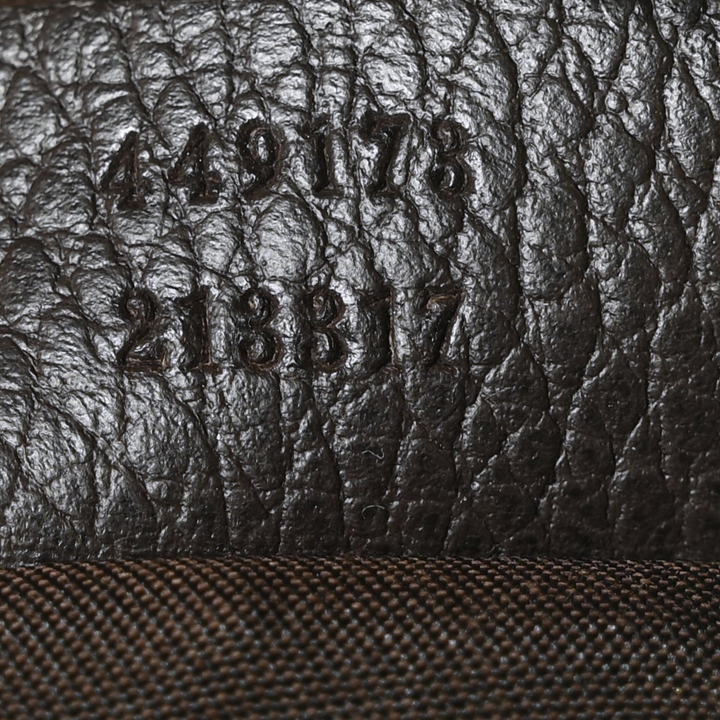 Monogram Dollar Calfskin Large Camera Case Beige Ebony Testa di Moro Marrone Scuro