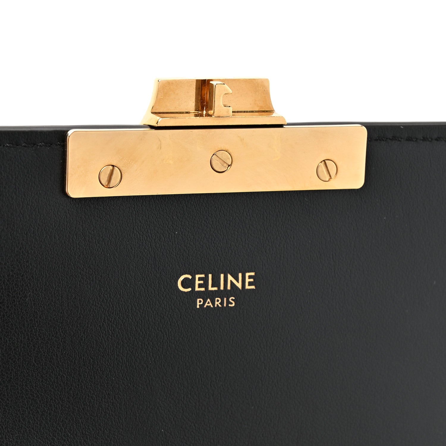 Celine Watersnake Teen Triomphe Brown 5 of 9