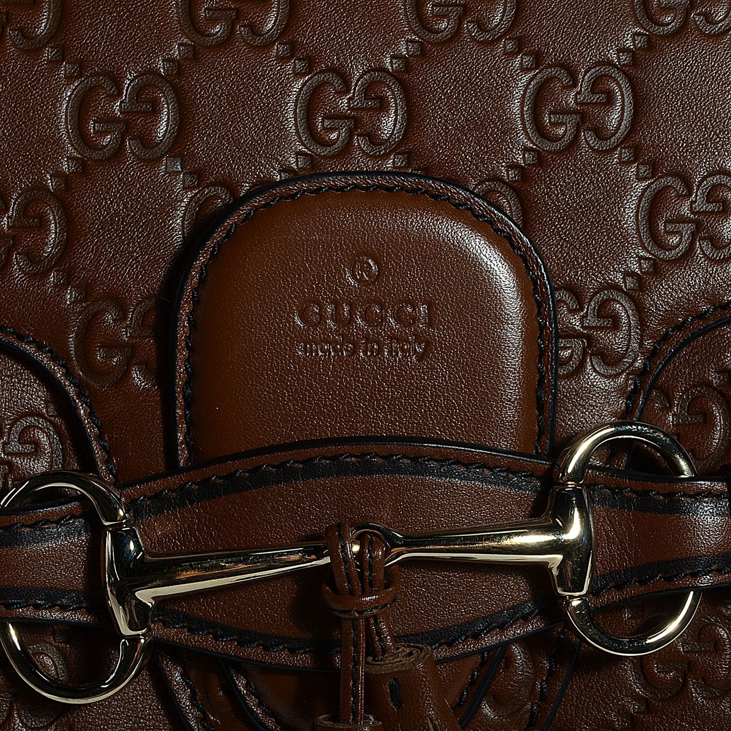 Guccissima Medium Emily Hobo Brown