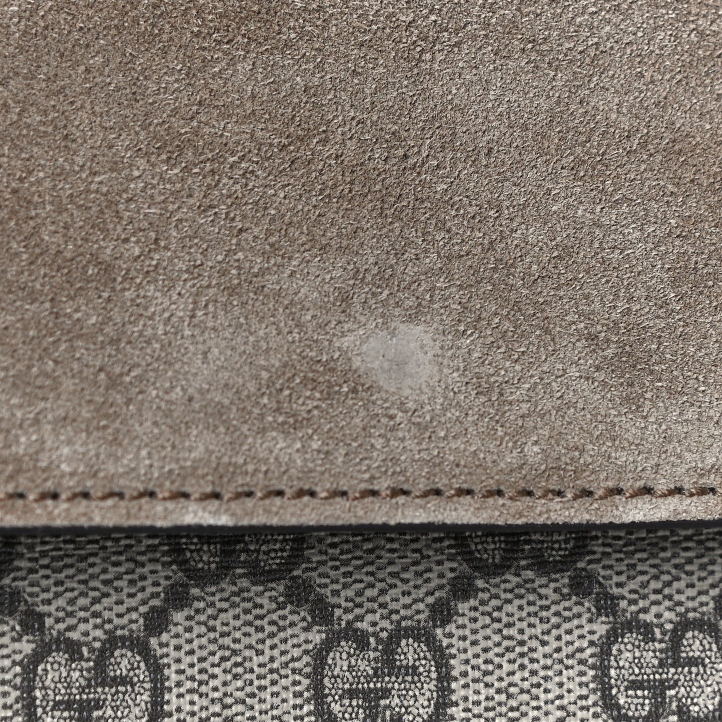 GG Supreme Monogram Mini Dionysus Shoulder Bag Taupe