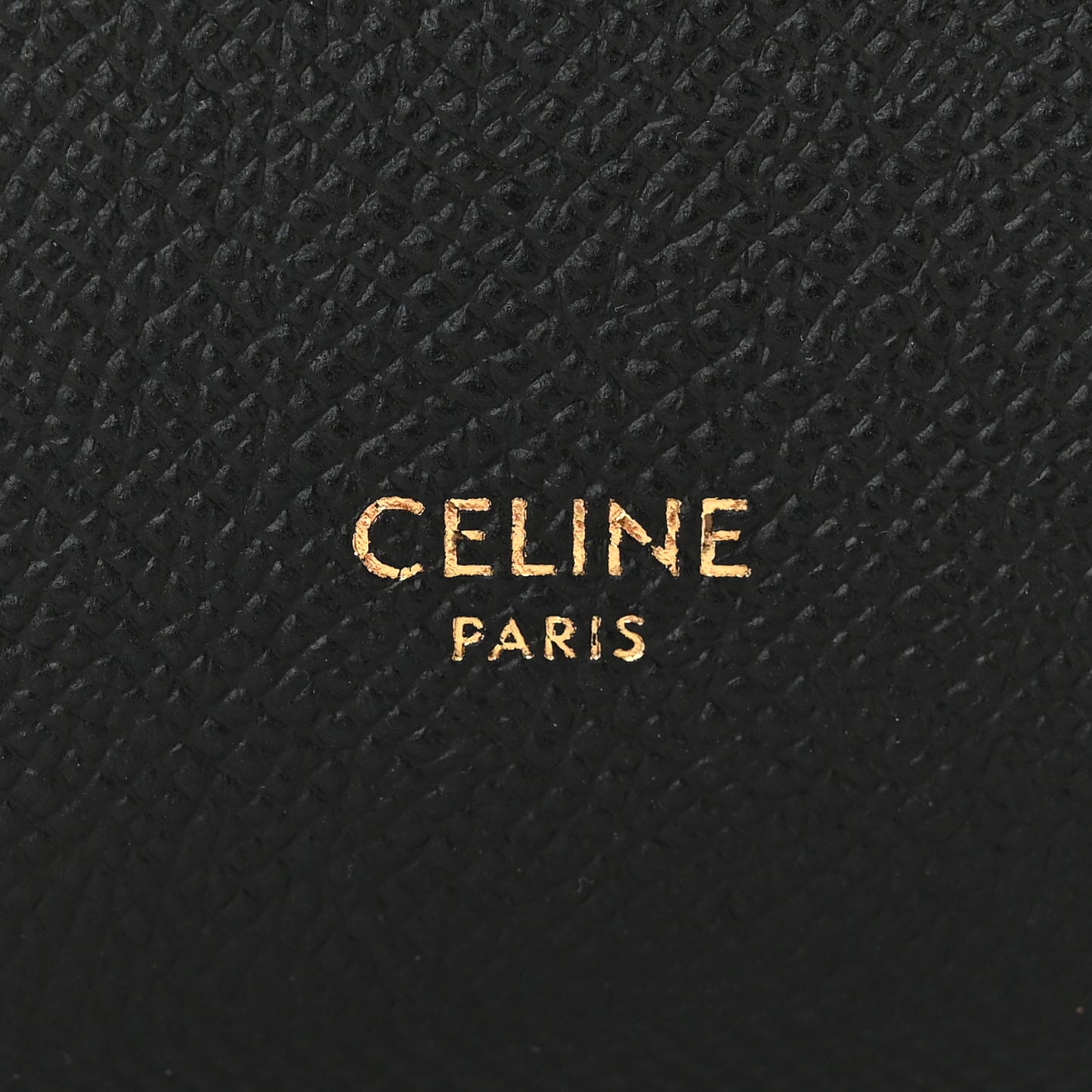 Grained Calfskin Nano Belt Bag Black