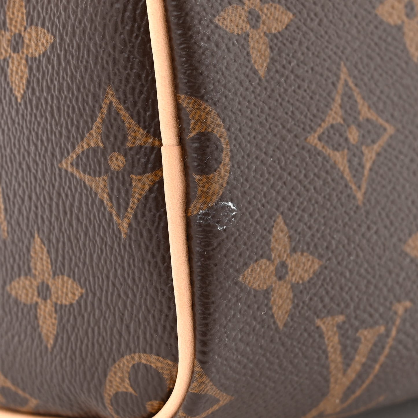 Monogram Nano Speedy