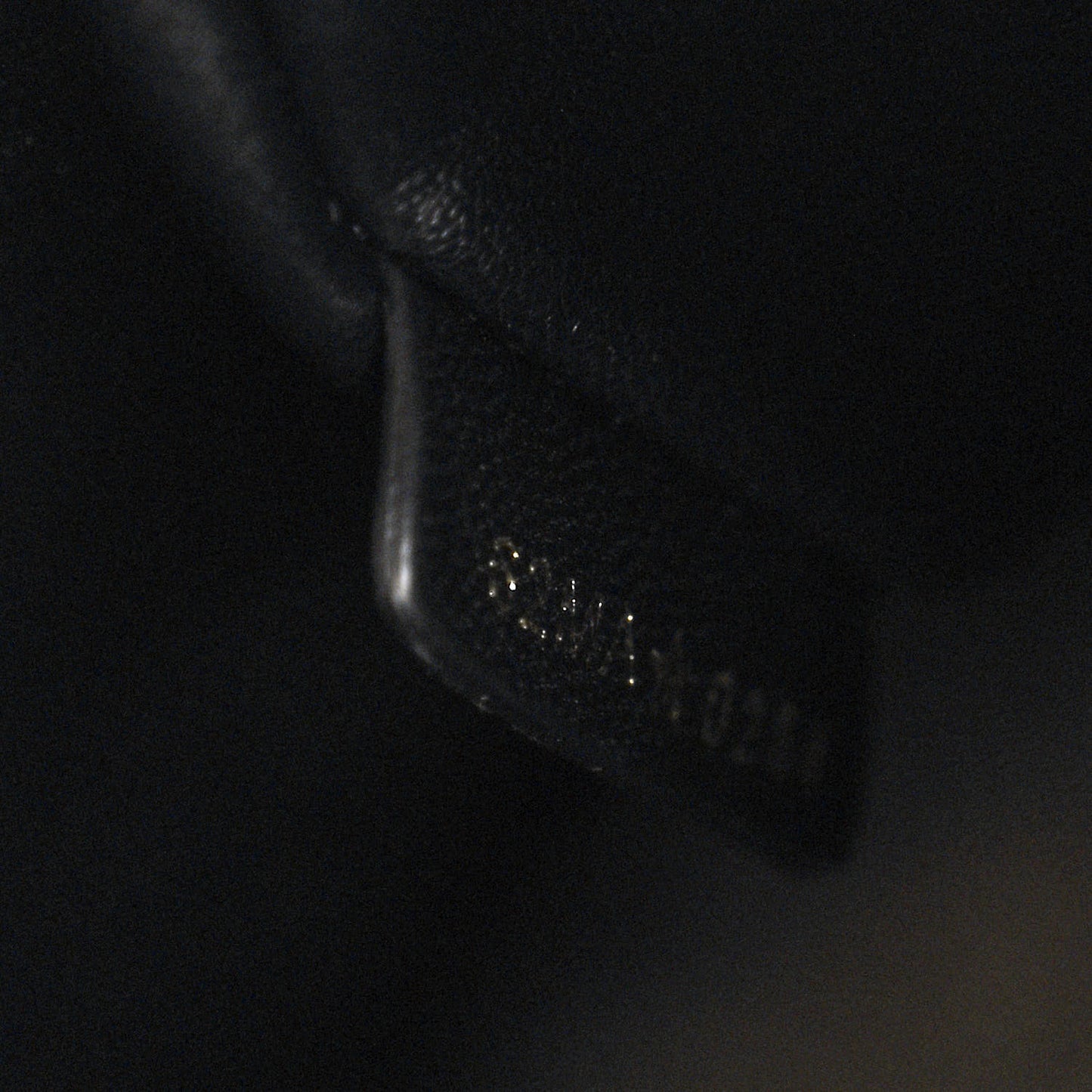 Lambskin Macrocannage Medium Caro Backpack Black