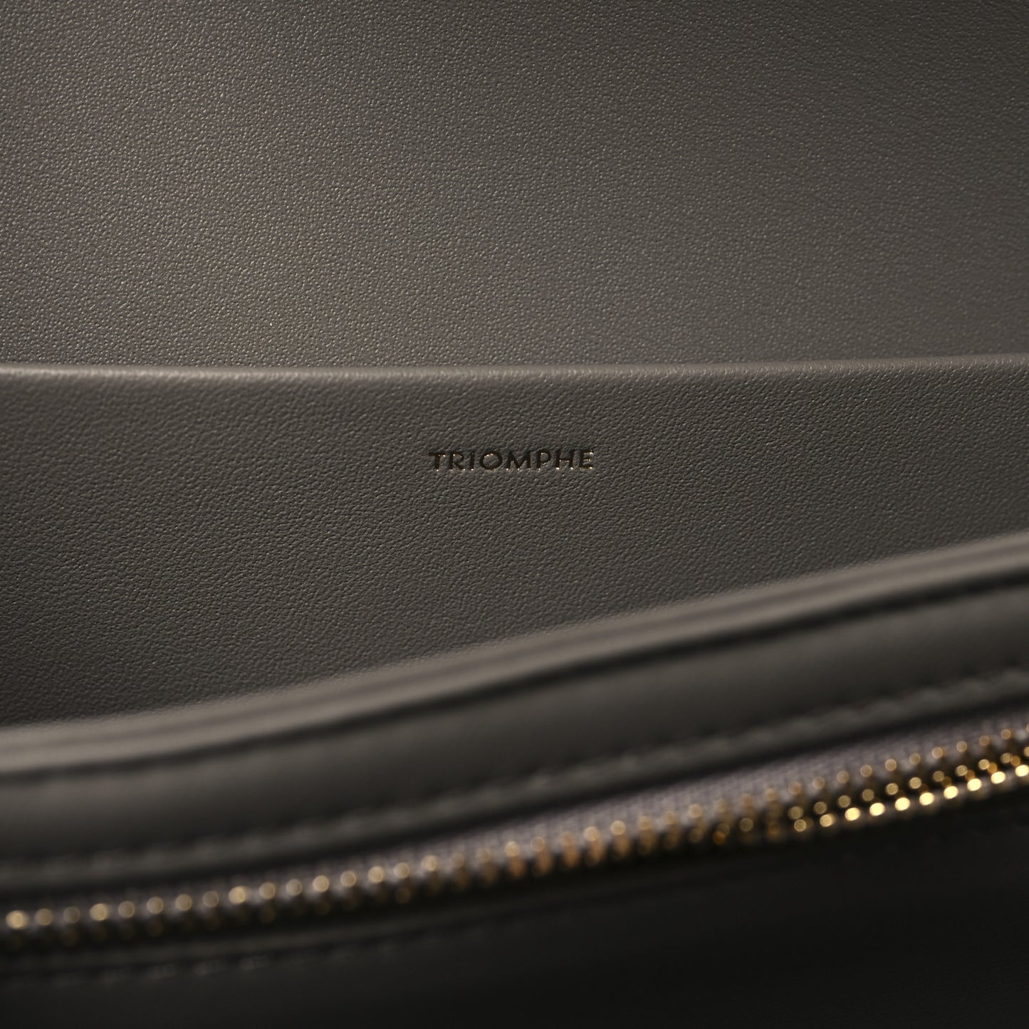 Shiny Calfskin Medium Triomphe Pebble