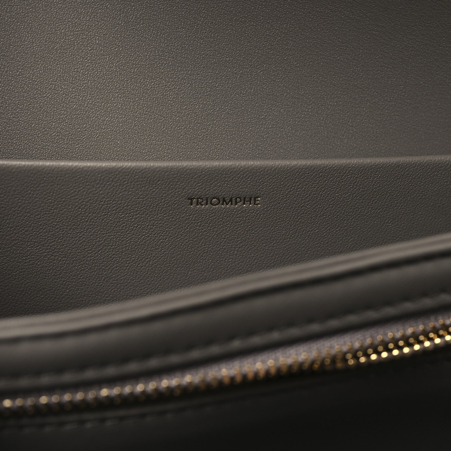 Celine Shiny Calfskin Medium Triomphe Pebble 7 of 10