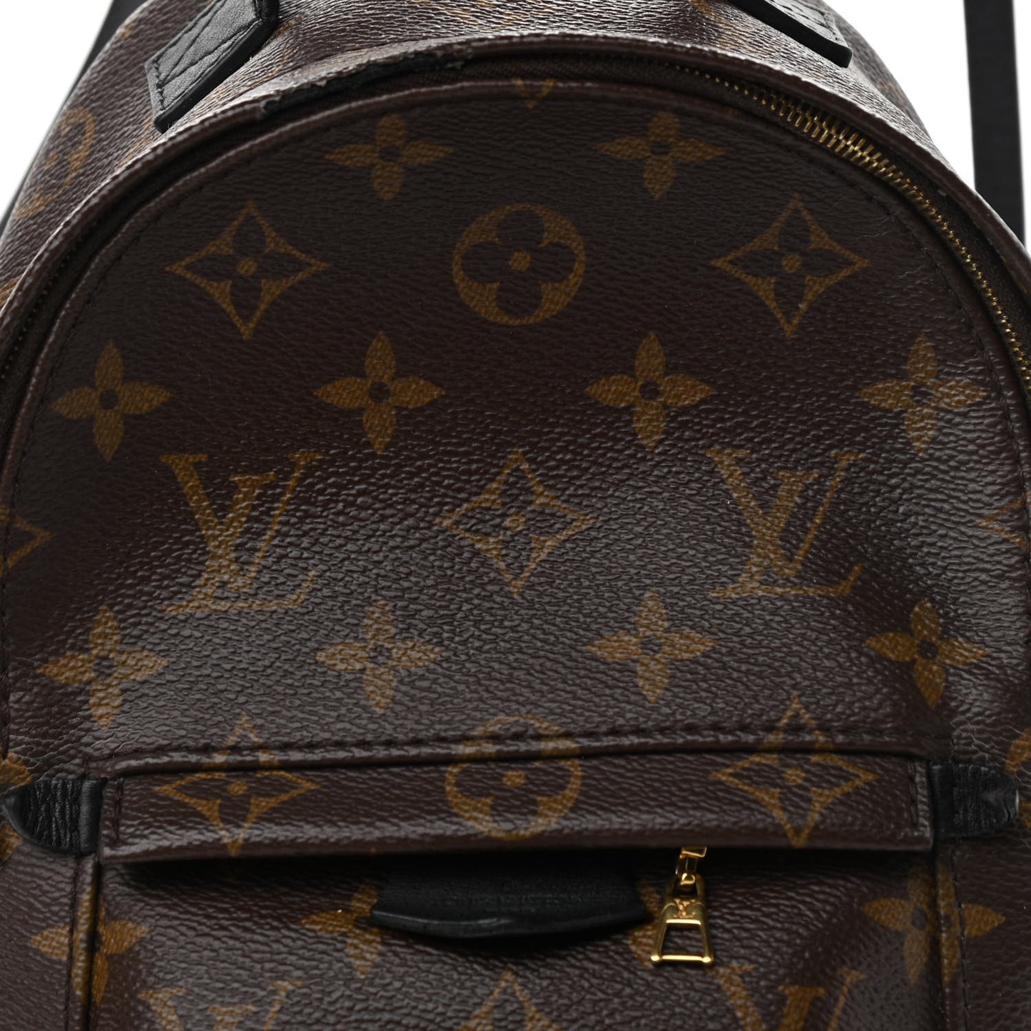 Monogram Palm Springs Backpack Mini