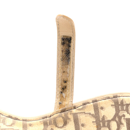 Christian Dior Monogram Vintage Flowers Saddle Bag Beige 10 of 14