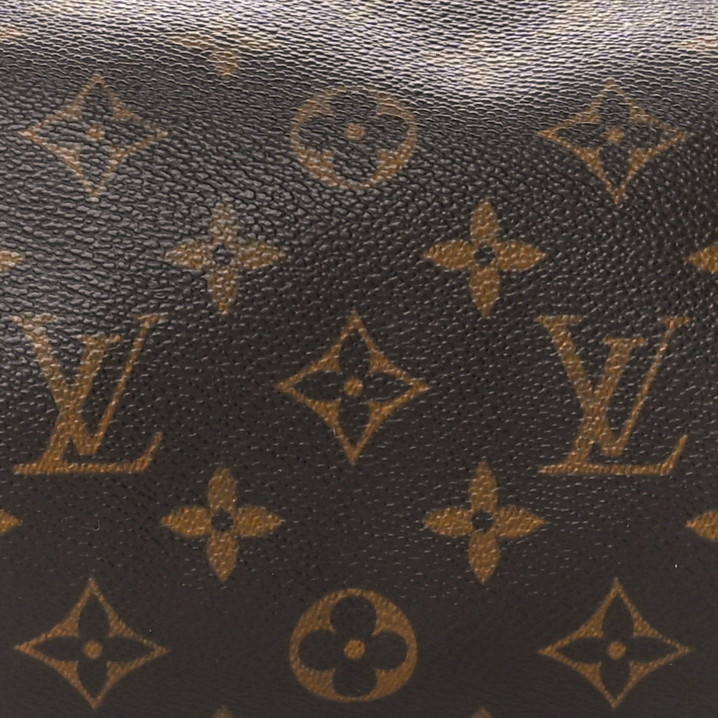 Monogram Papillon 30