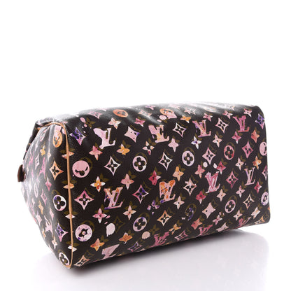 Louis Vuitton Watercolor Aquarelle Speedy 35 Brown 3 of 7