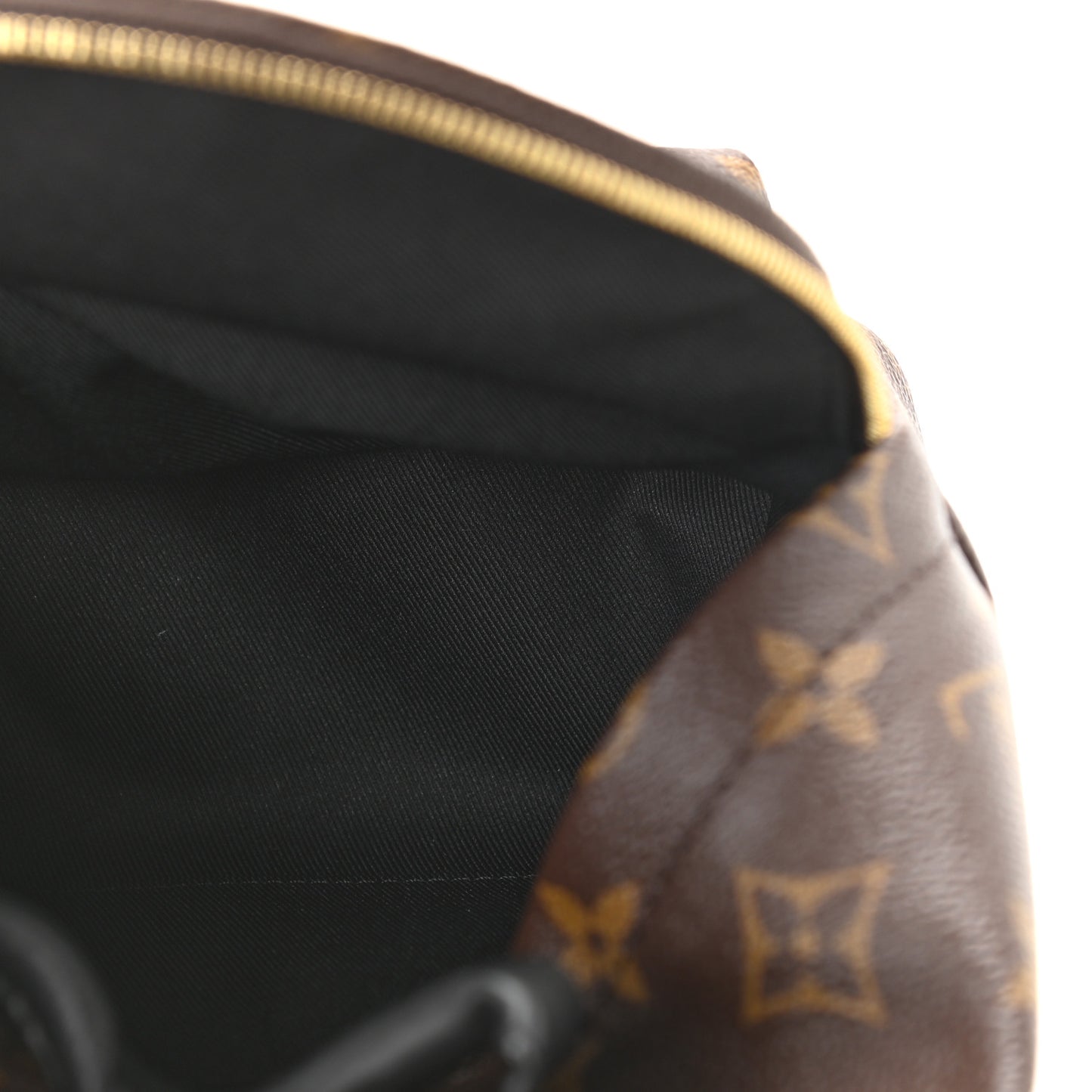 Monogram Palm Springs Backpack Mini