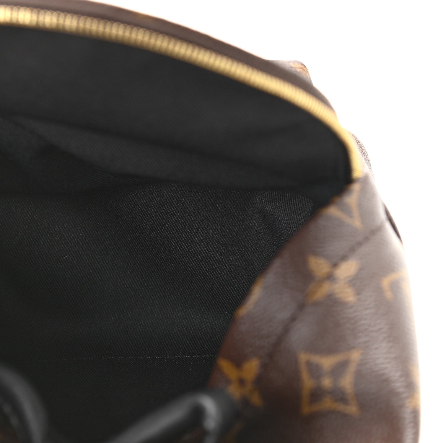 Louis Vuitton Monogram Palm Springs Backpack Mini 5 of 10