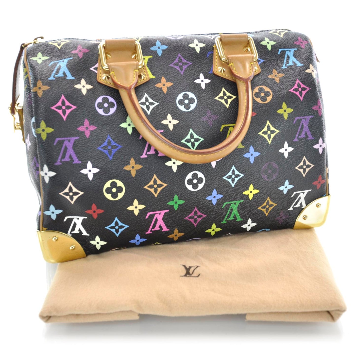 Monogram Multicolor Speedy 30 Black