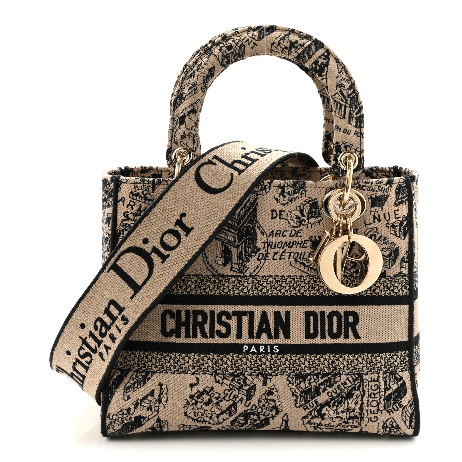 Christian Dior Canvas Embroidered Medium Plan de Paris Lady D-Lite