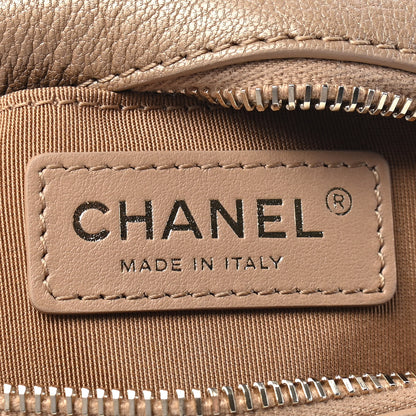 Chanel Metallic Goatskin Small Casual Trip Camera Case Beige 5 of 8