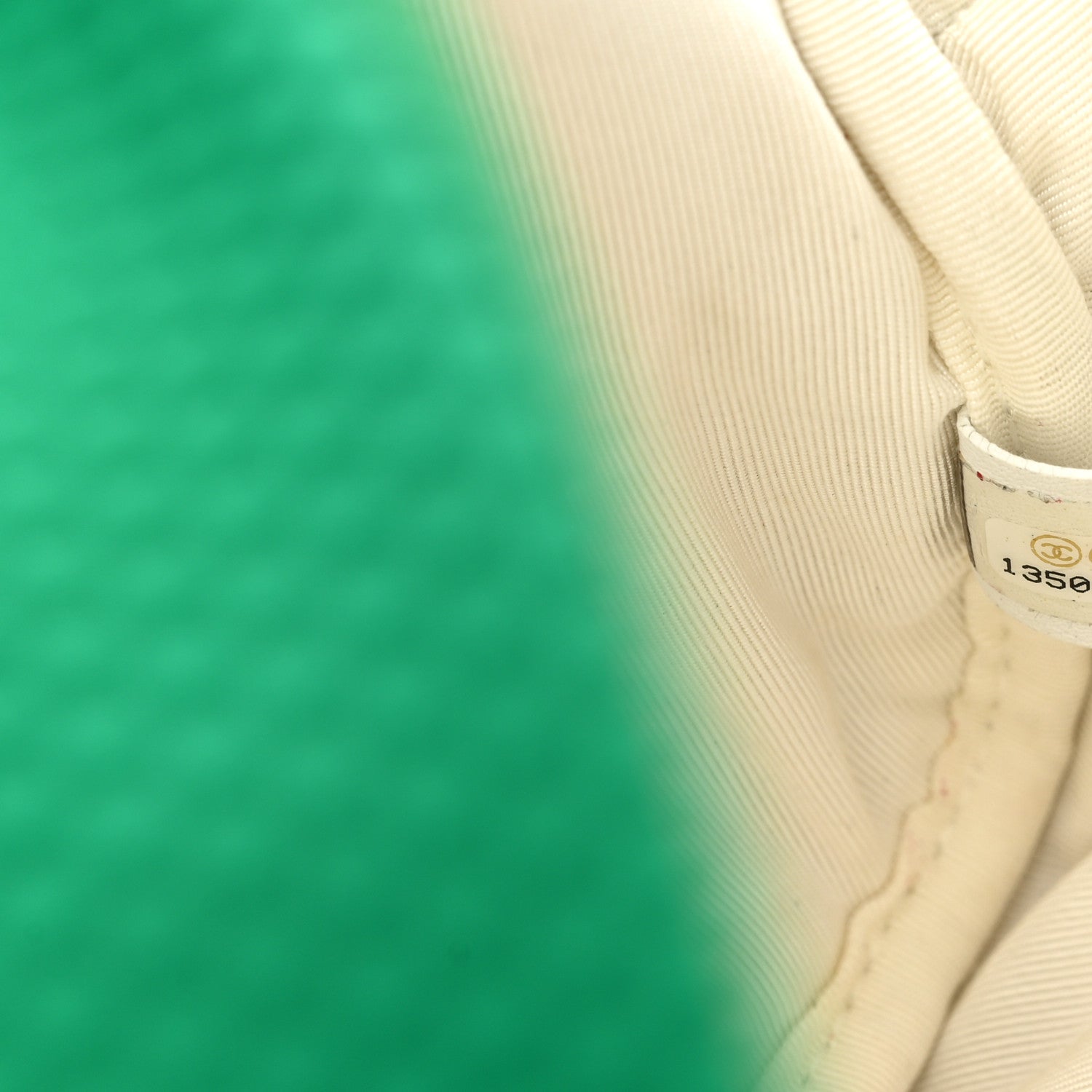 Chanel Mesh Fabric Quilted Camera Bag Green White 7 of 11
