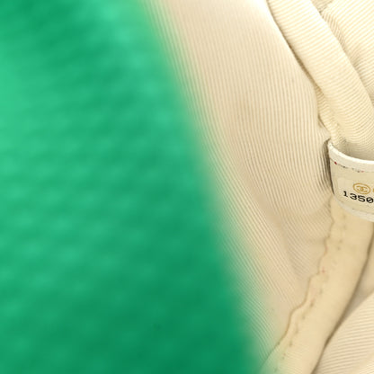 Chanel Mesh Fabric Quilted Camera Bag Green White 7 of 11
