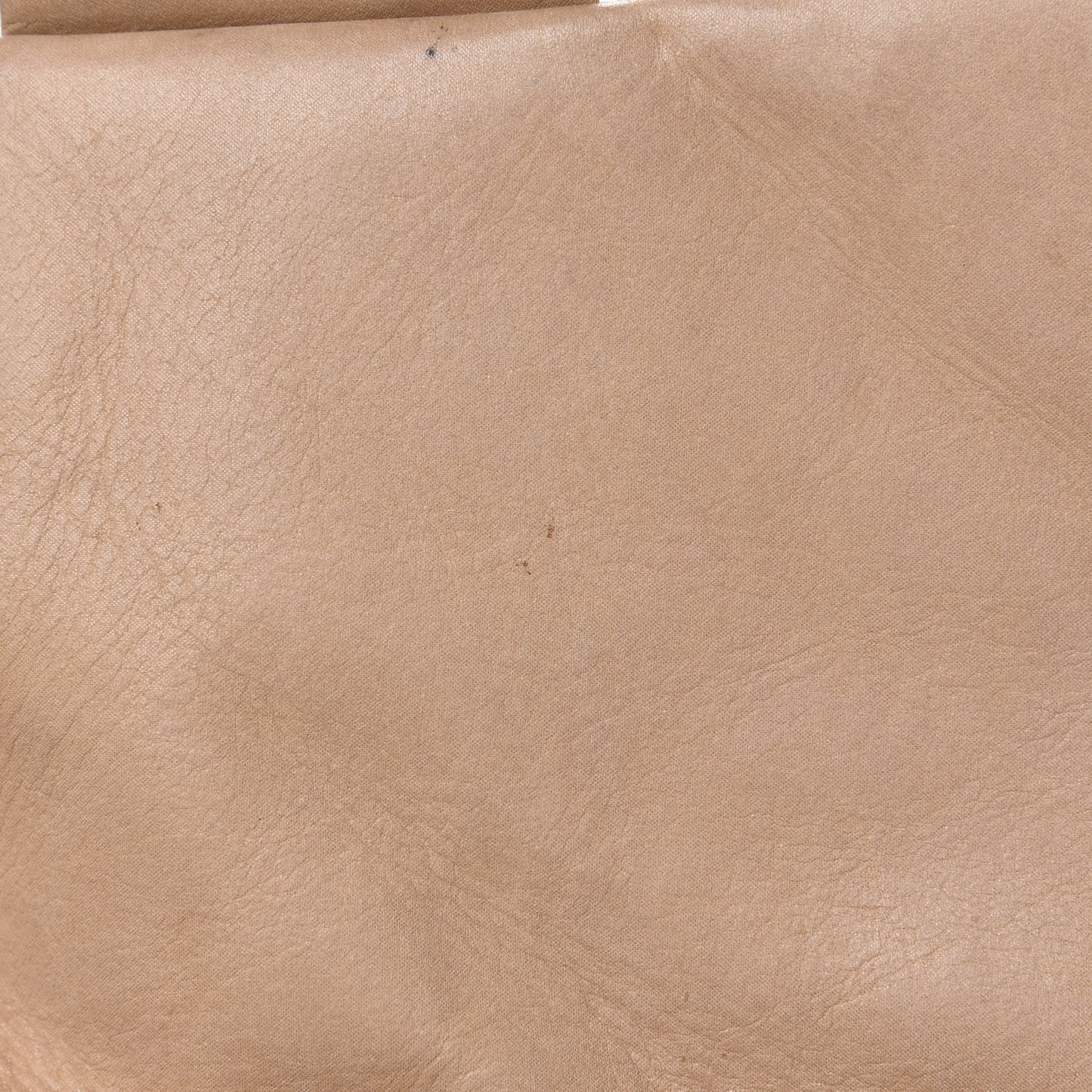 Iridescent Glazed Calfskin Quilted Casual Journey Flap Beige