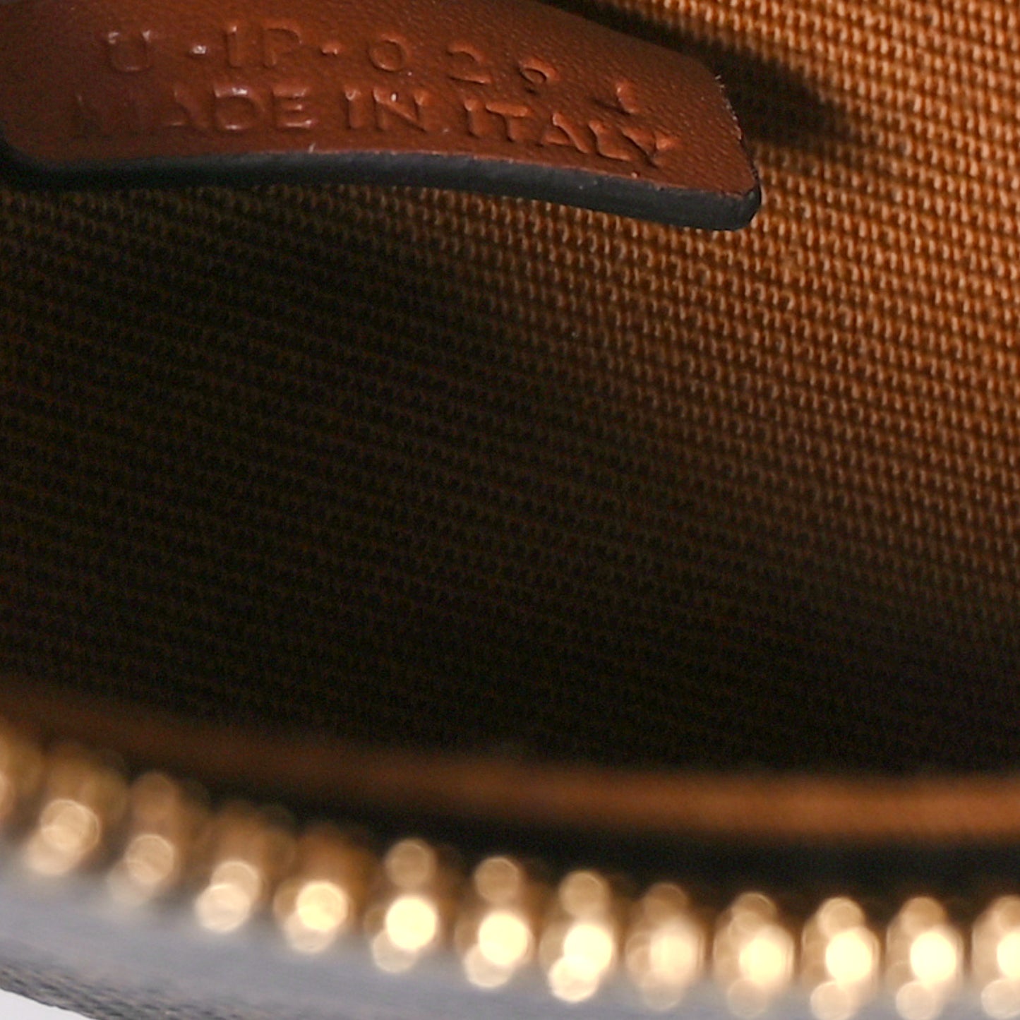 Calfskin Triomphe Canvas Half Moon Case Tan
