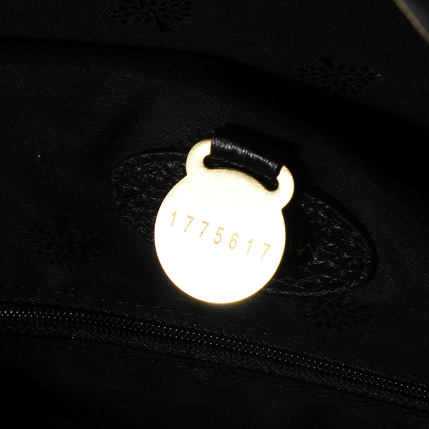 Pebbled Calfskin Effie Hobo Black
