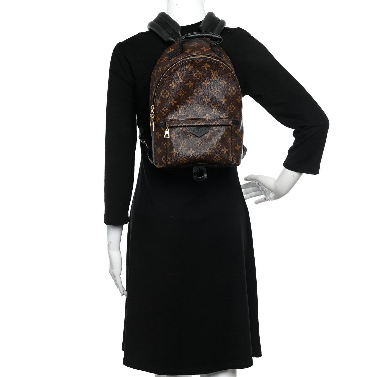 Louis Vuitton Monogram Palm Springs Backpack PM 2 of 11