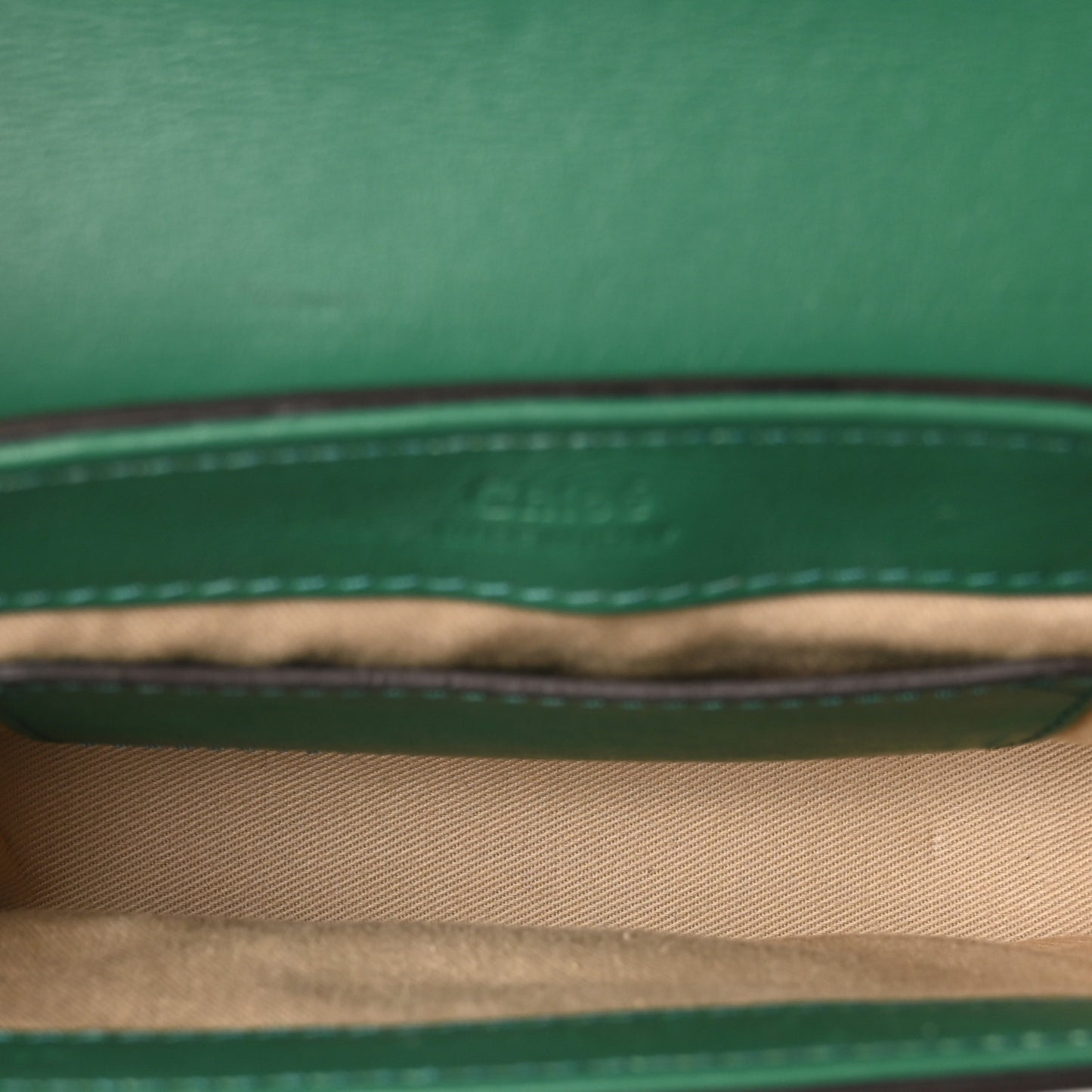 Calfskin Crocodile Embossed Mini C Double Carry Woodsy Green