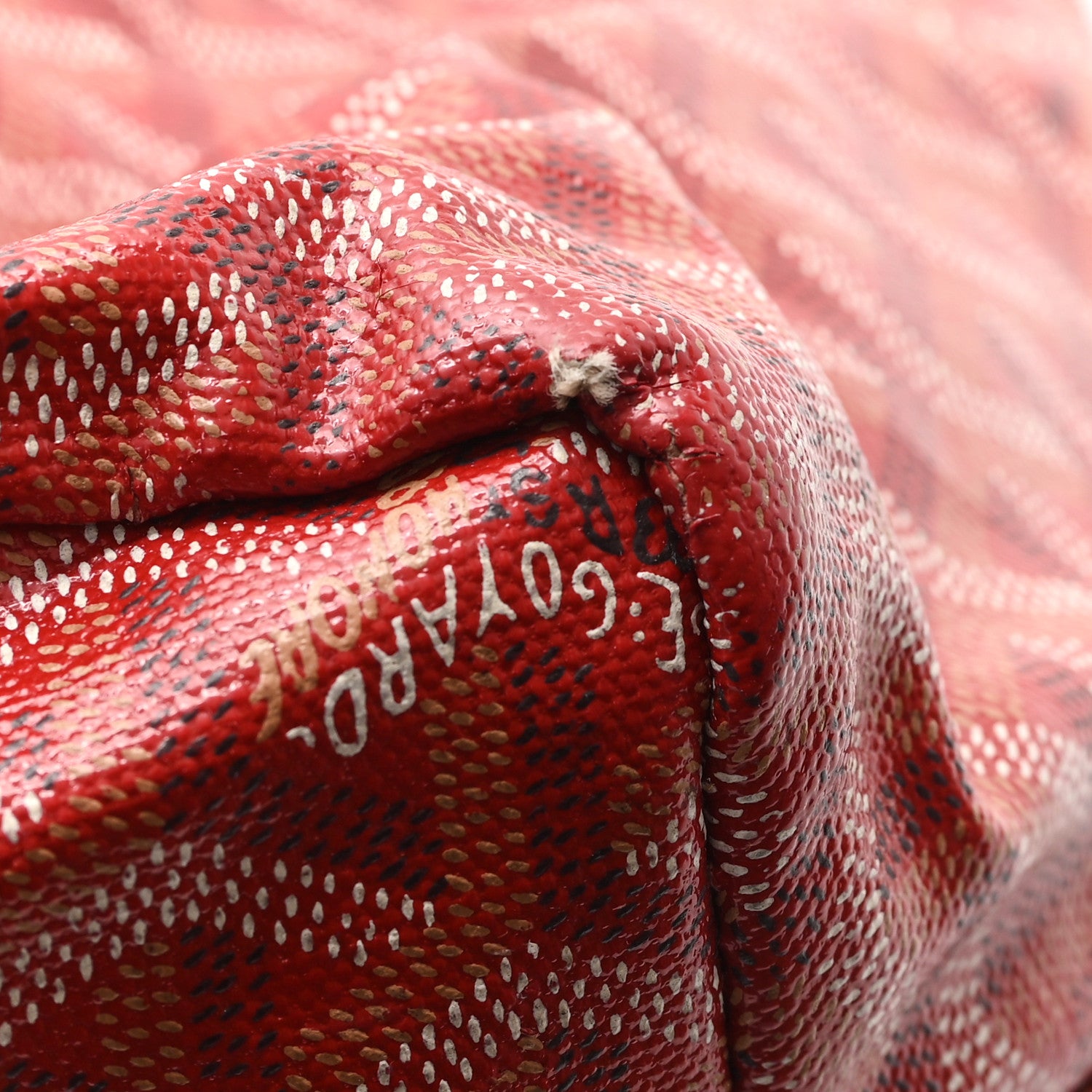 Goyard Goyardine Saint Louis PM Red 13 of 13