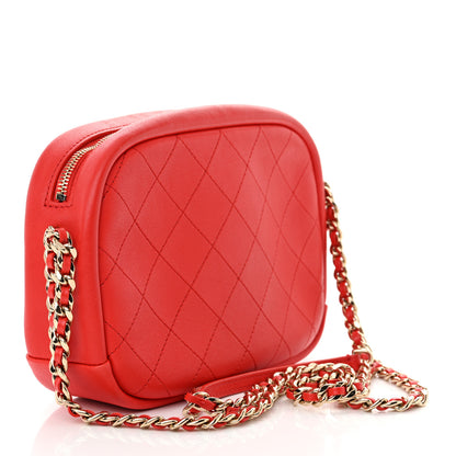 Chanel Goatskin Quilted Large Casual Trip Camera Case Bag Red 3 of 12