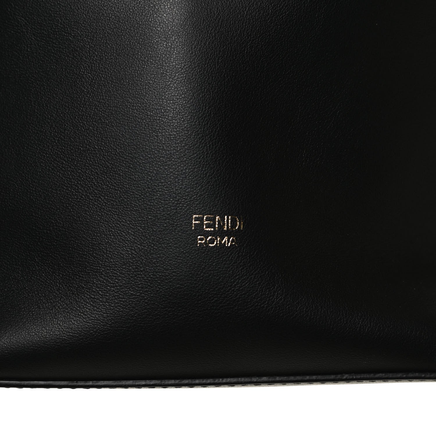 Fendi Vitello Grace Matte F is Fendi Grande Mon Tresor Bucket Bag Black 12 of 12