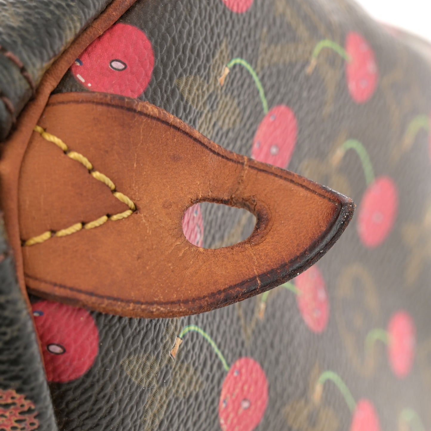 Monogram Cerises Speedy 25