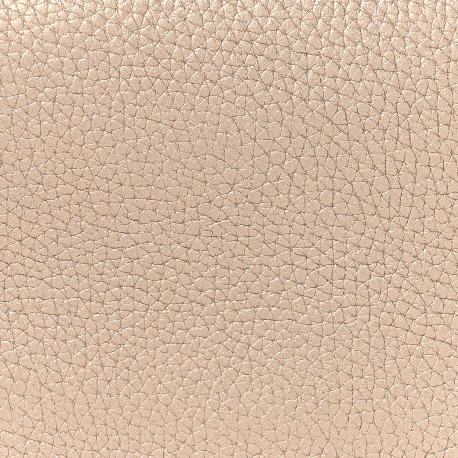 Christian Dior Metallic Bullcalf Small Be Dior Flap Pale Gold 9 of 19