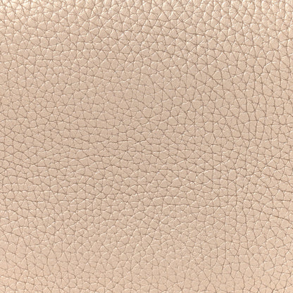 Christian Dior Metallic Bullcalf Small Be Dior Flap Pale Gold 9 of 19