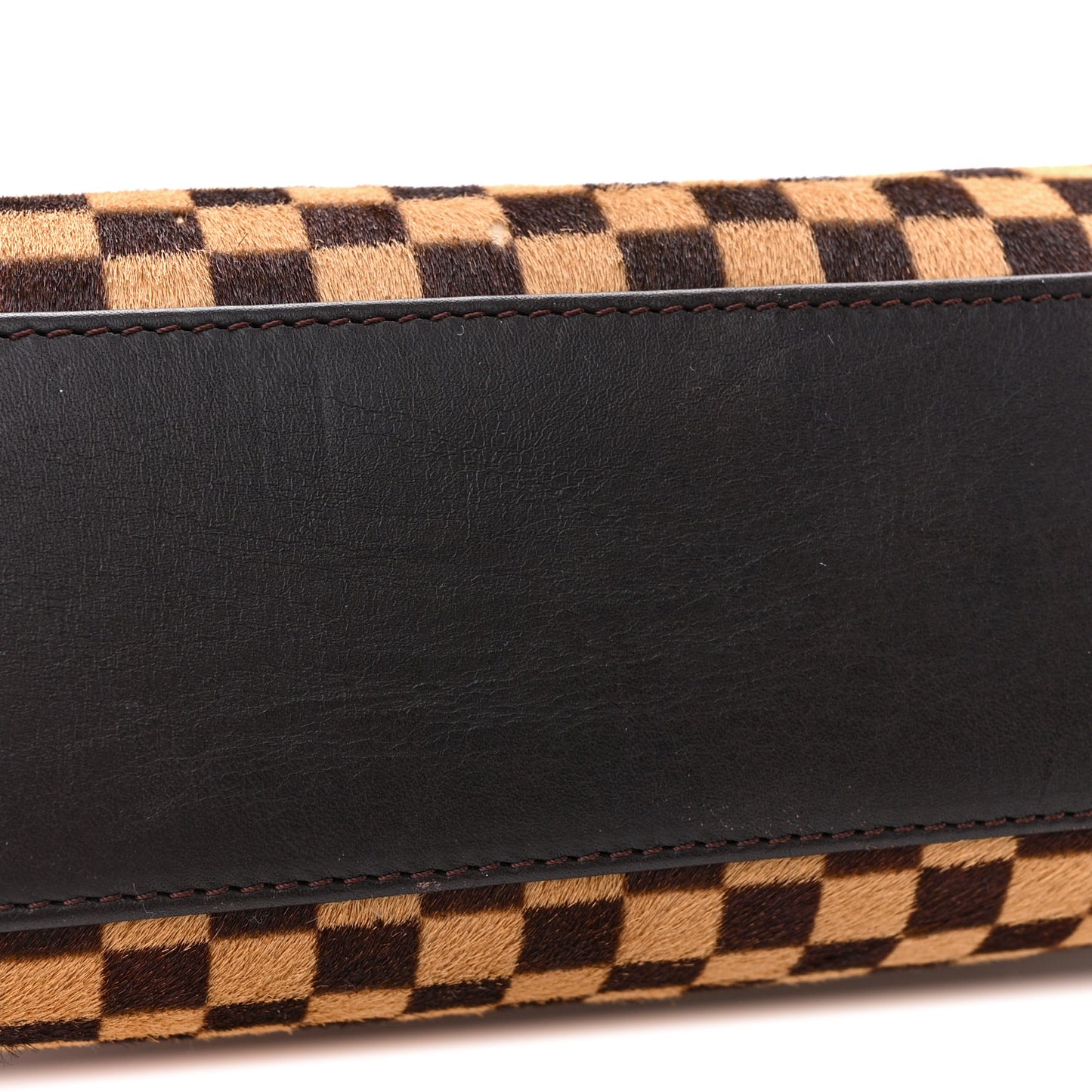 LOUIS VUITTON Damier Sauvage Lionne