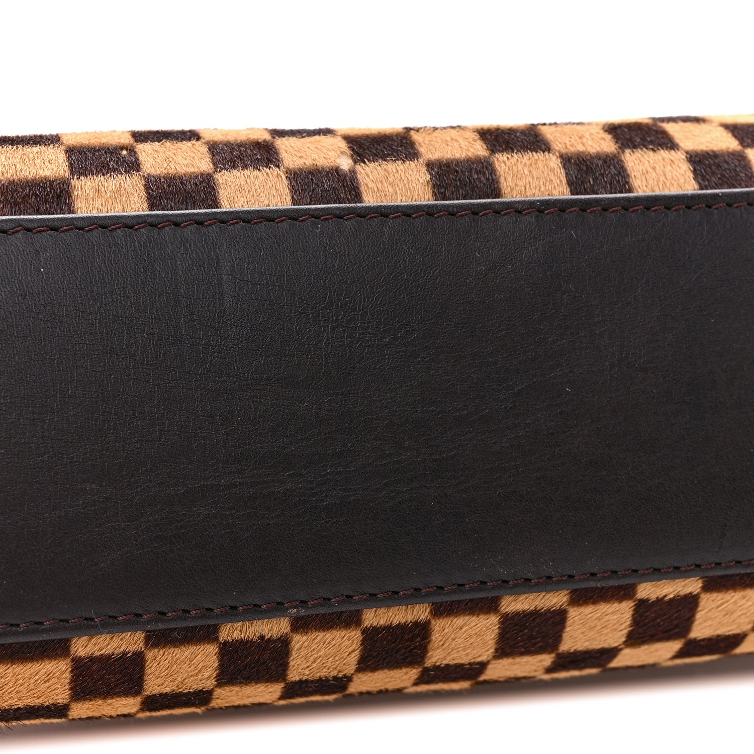 Louis Vuitton LOUIS VUITTON Damier Sauvage Lionne 12 of 13