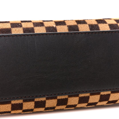 Louis Vuitton LOUIS VUITTON Damier Sauvage Lionne 12 of 13