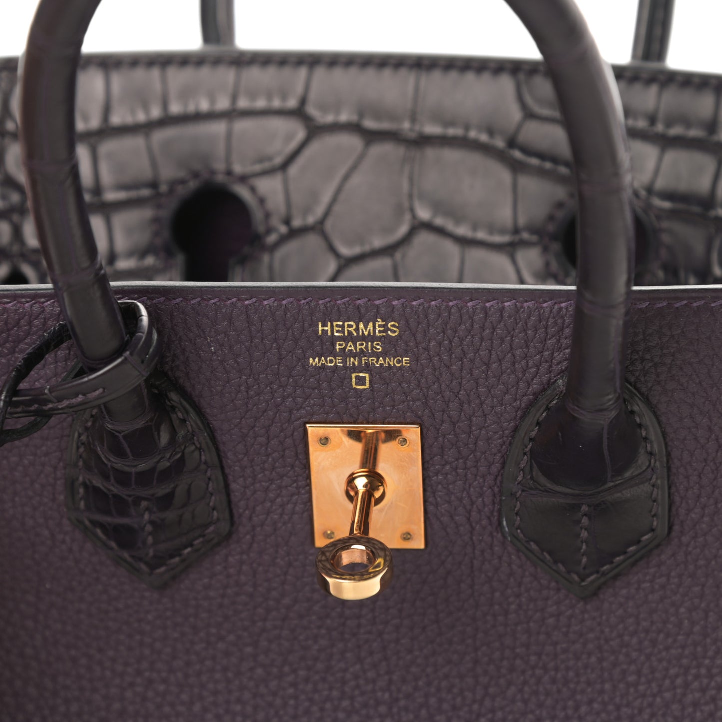 Togo Matte Alligator Birkin Touch 25 Raisin