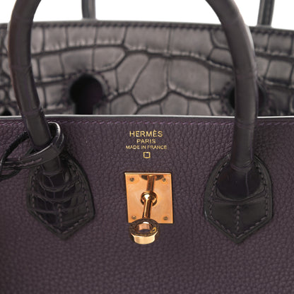 Hermes Togo Matte Alligator Birkin Touch 25 Raisin 6 of 11