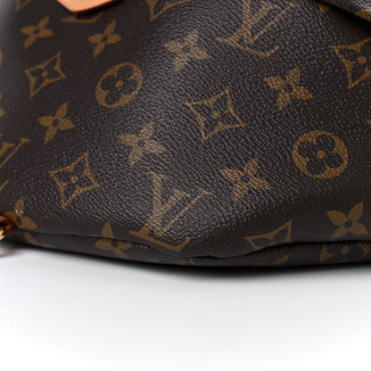 Louis Vuitton Monogram Bumbag 8 of 21