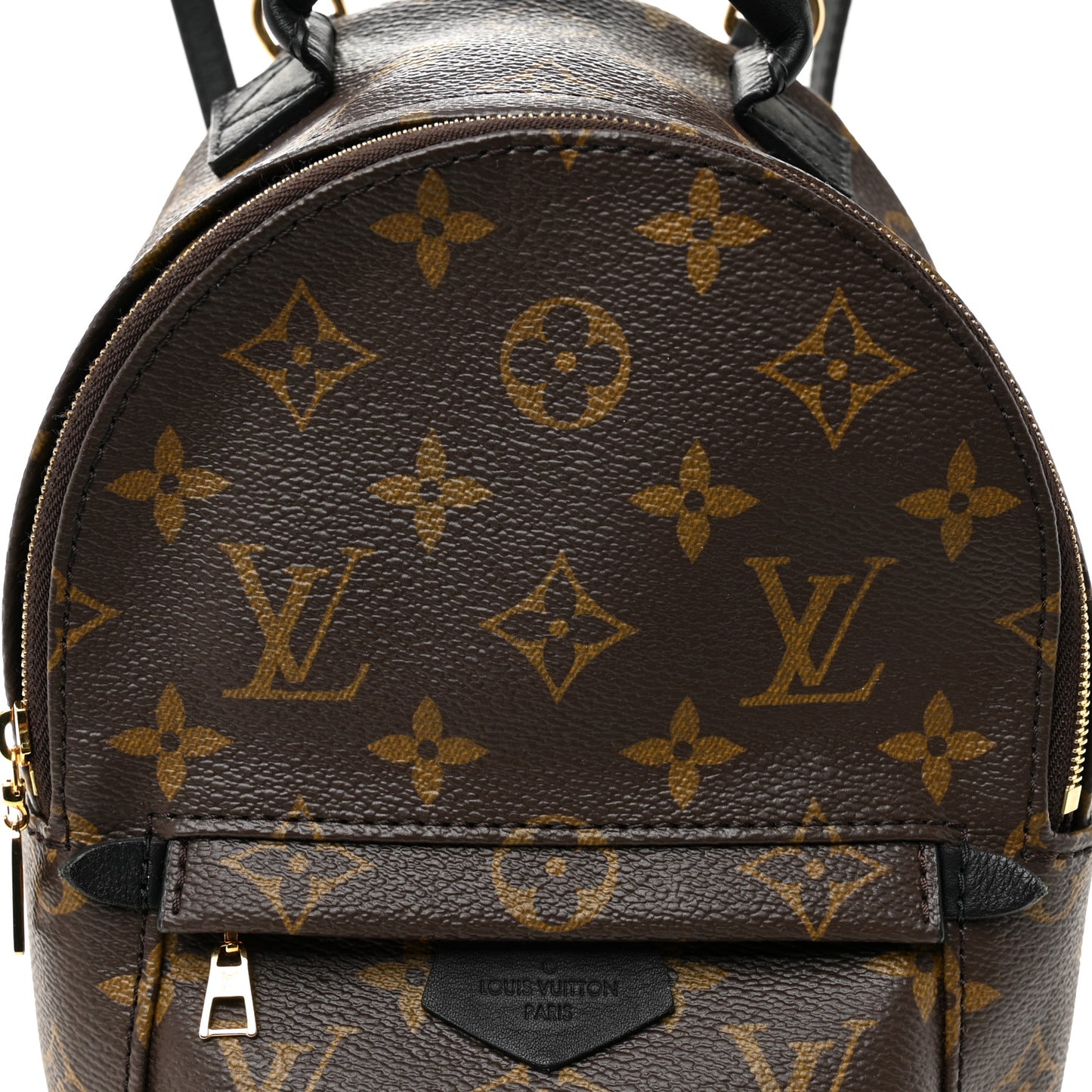 Monogram Palm Springs Backpack Mini