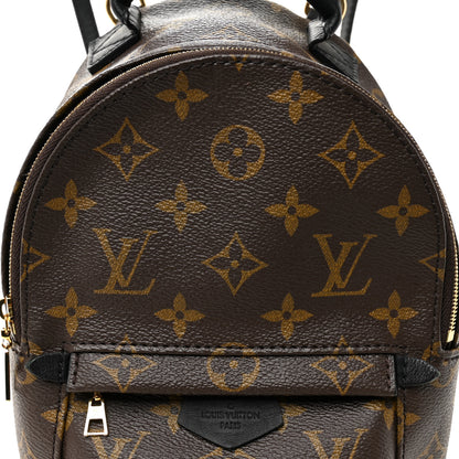 Louis Vuitton Monogram Palm Springs Backpack Mini 7 of 9
