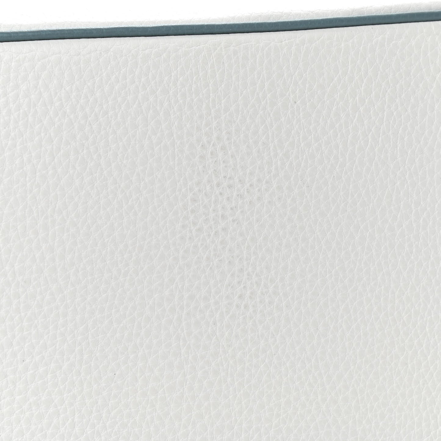 Togo Bi-Color Horseshoe Birkin 30 White Ciel